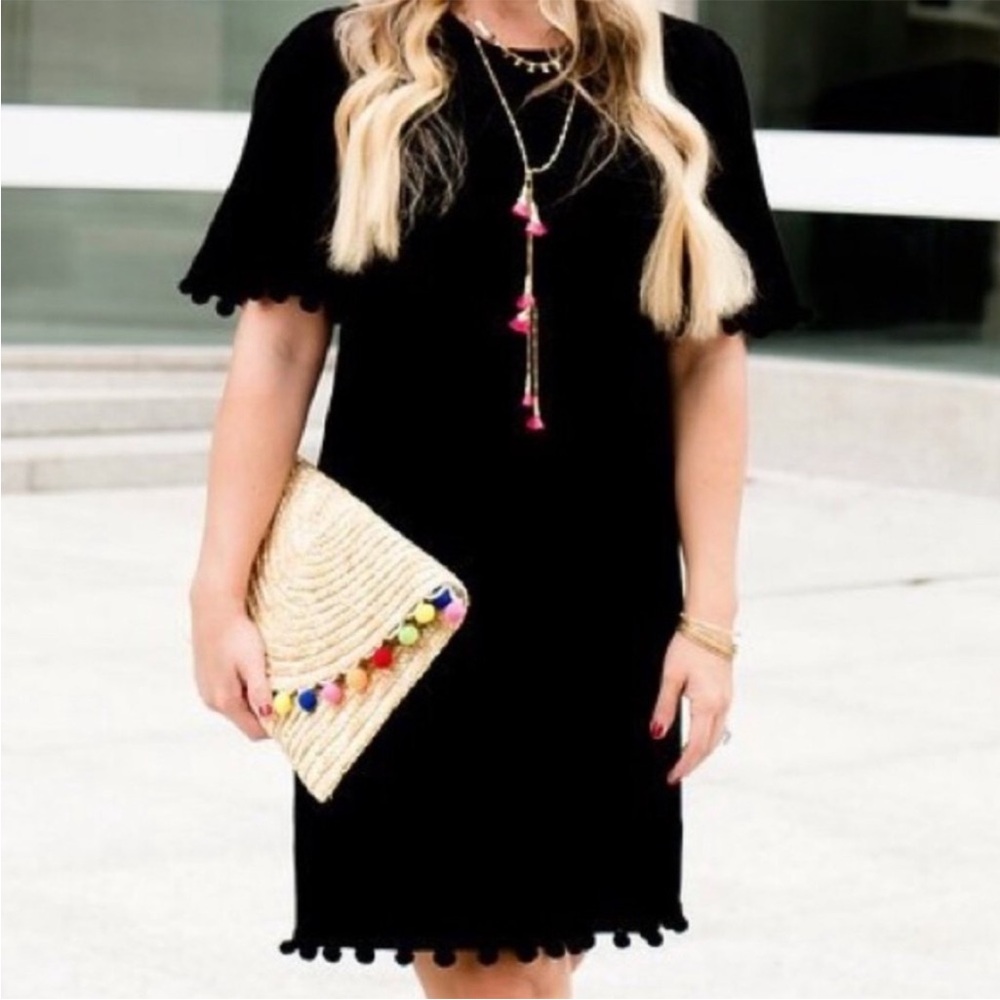 Banana Republic Short sleeve black Pom Pom dress STall